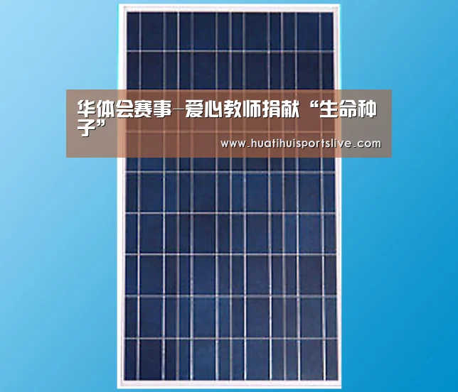华体会赛事-爱心教师捐献“生命种子”(图4) 华体会娱乐