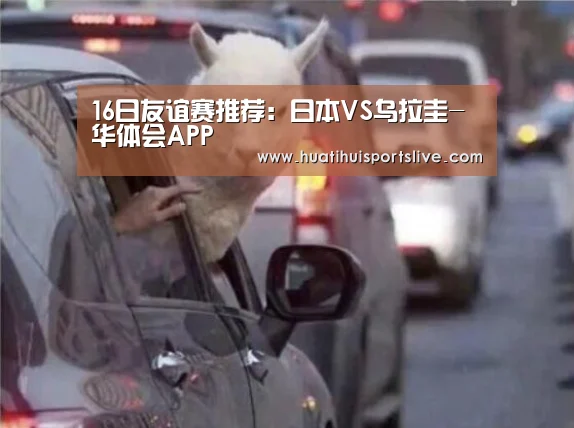 华体会官网