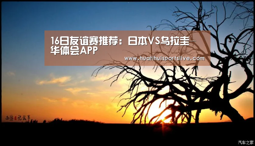 华体会APP
