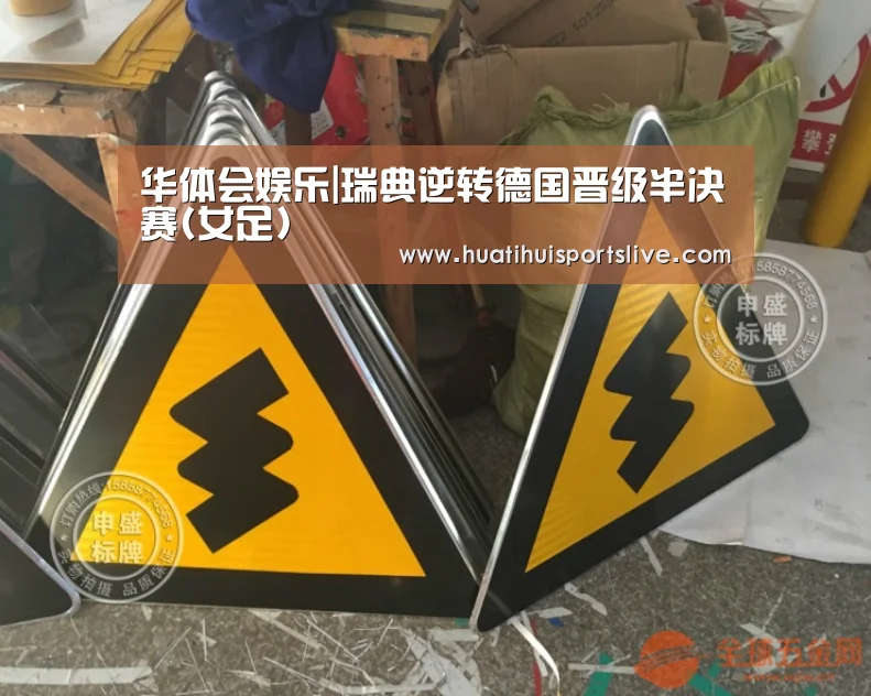 华体会娱乐|瑞典逆转德国晋级半决赛(女足)(图2) 华体会娱乐
